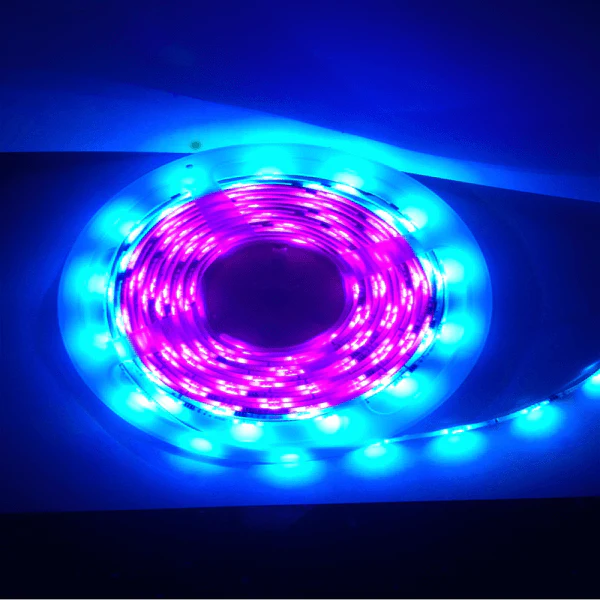 5M Flag Pole Pre-Set Digital Led Dream Lights Strip - Image 5