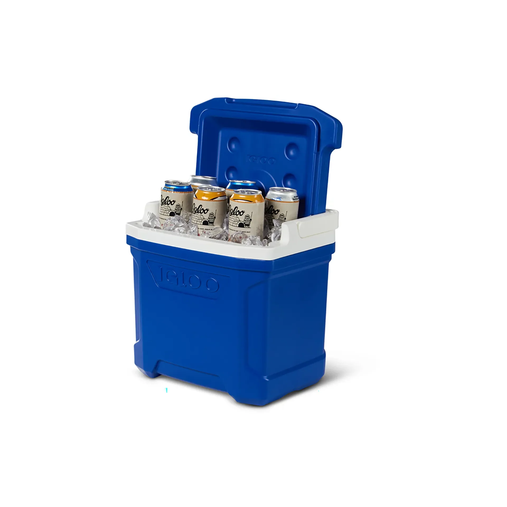 Igloo Profile II 16QT Cool Box Blue - Image 5