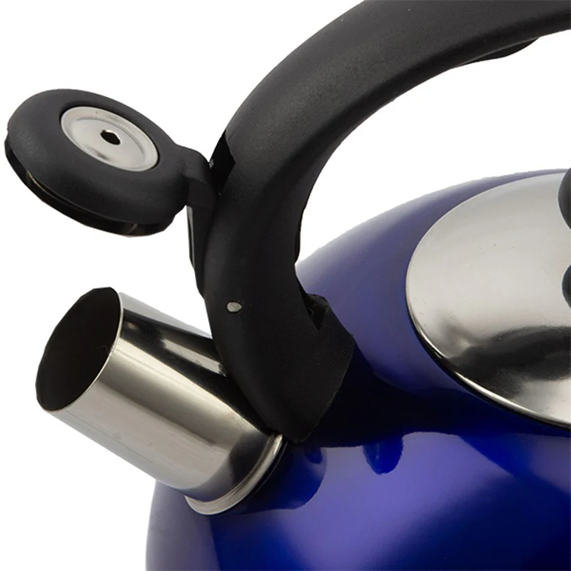 Liberty 2.5L Whistling Kettle - Blue - Image 3