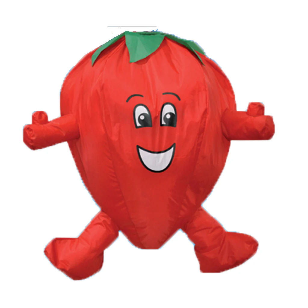 Strawberry Windsock