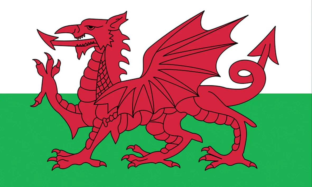 Wales Welsh Dragon Flag 5ft by 3Ft